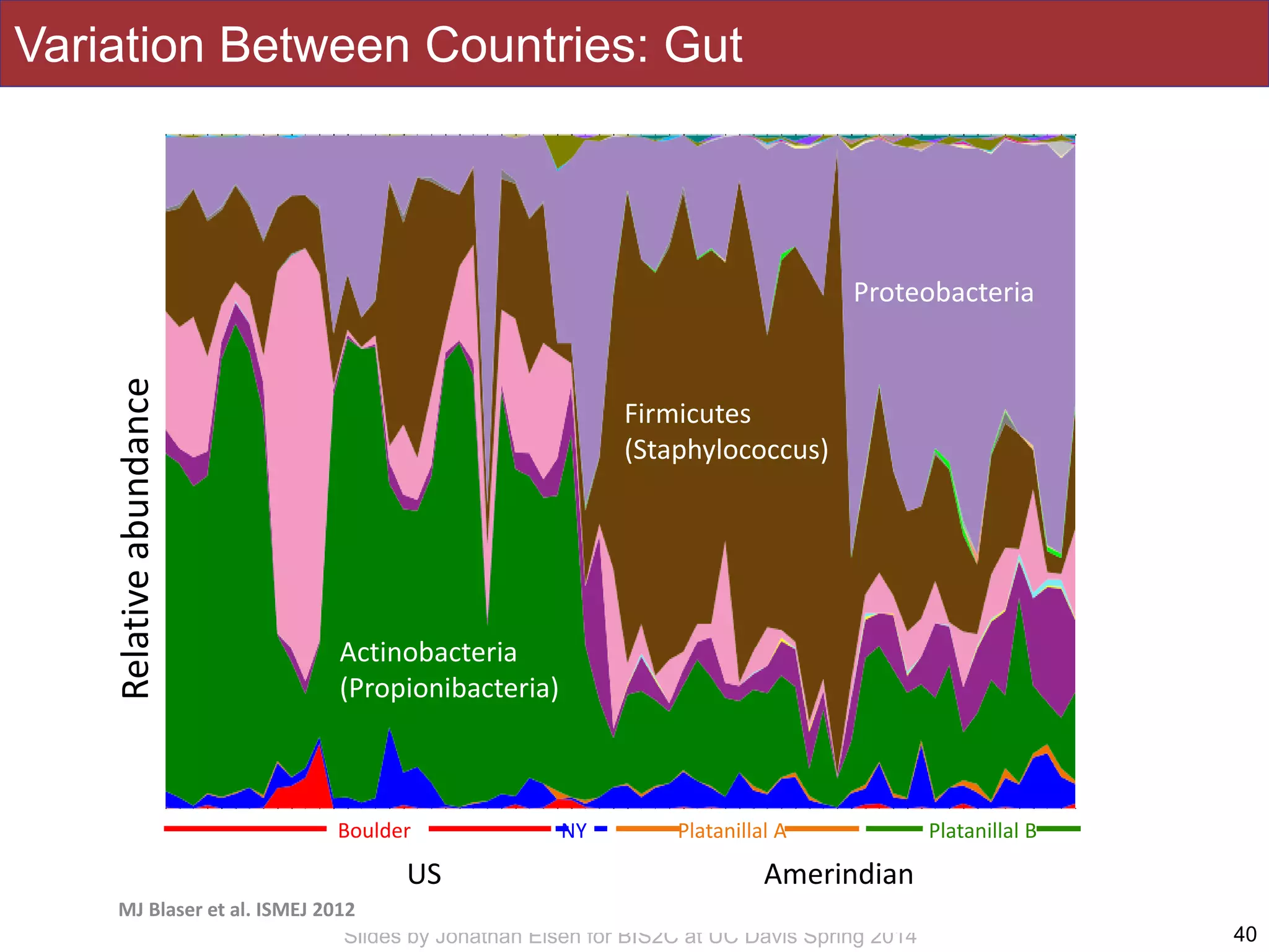 Slides by Jonathan Eisen for BIS2C at UC Davis Spring 2014
Variation Between Countries: Gut
40
The ISME Journal (2013) 7, 85–95; doi:10.1038/ismej.2012.81
MJ Blaser et al. ISMEJ 2012
US Amerindian
Actinobacteria
(Propionibacteria)
Firmicutes
(Staphylococcus)
Relativeabundance
Actinobacteria dominates in the US
Boulder NY Platanillal A Platanillal B
Proteobacteria
 