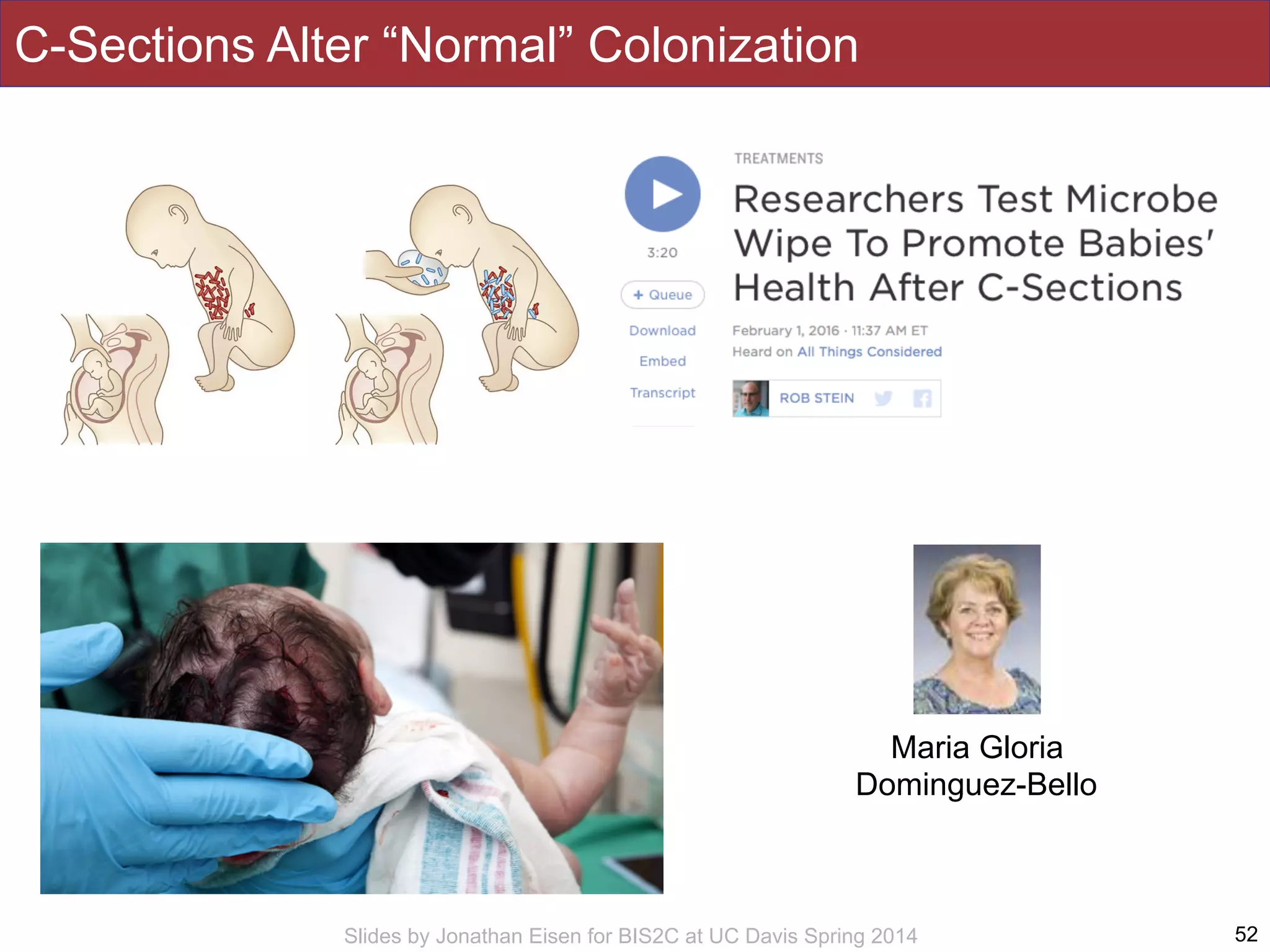 Slides by Jonathan Eisen for BIS2C at UC Davis Spring 2014
C-Sections Alter “Normal” Colonization
52
Maria Gloria
Dominguez-Bello
 