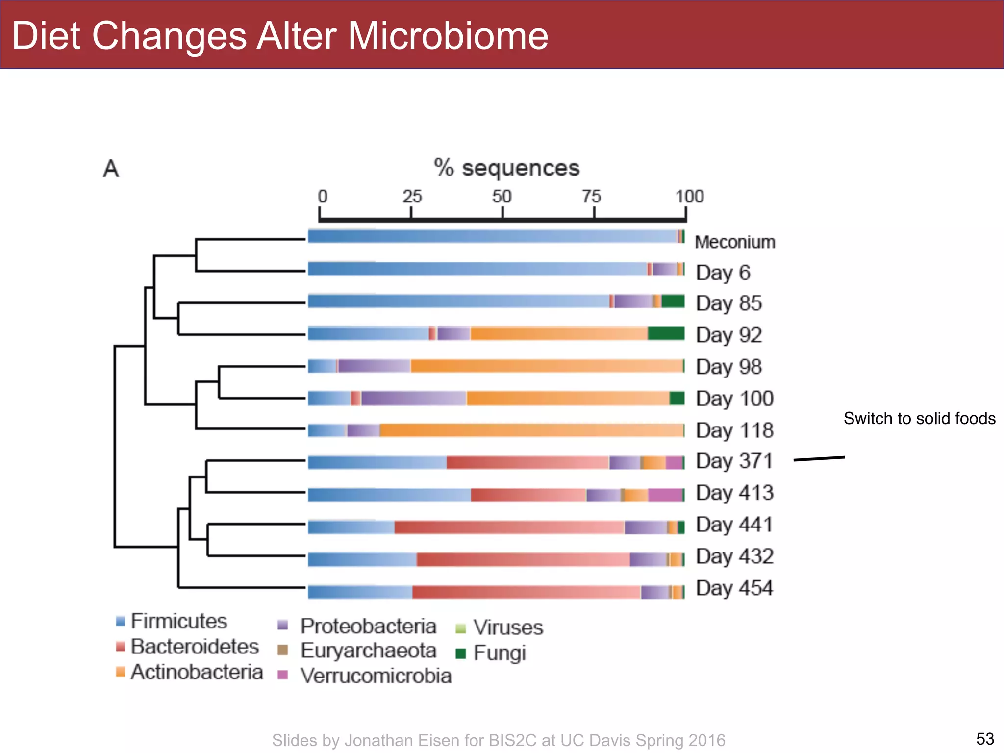 Slides by Jonathan Eisen for BIS2C at UC Davis Spring 2016
Diet Changes Alter Microbiome
53
Switch to solid foods
 