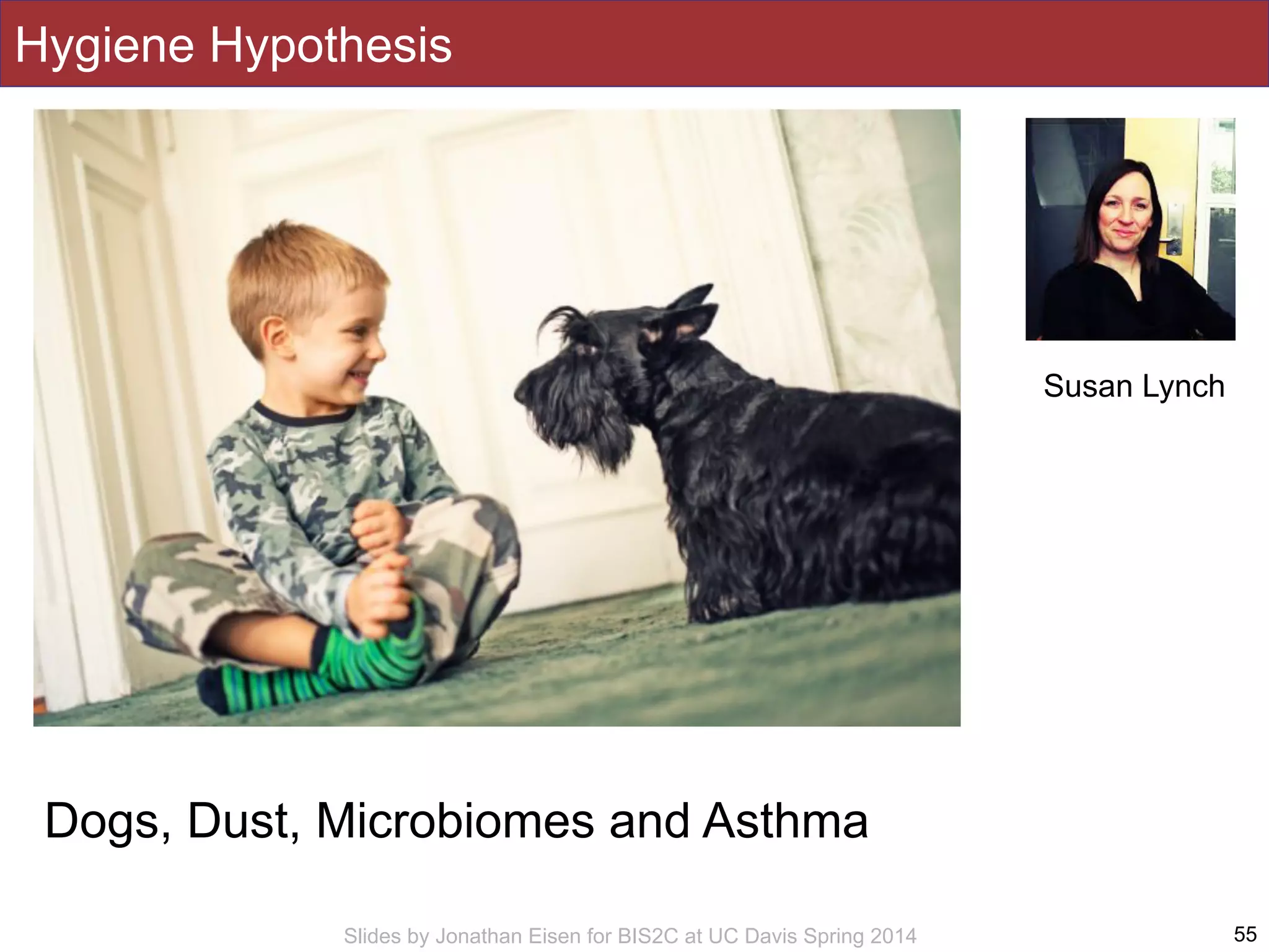 Slides by Jonathan Eisen for BIS2C at UC Davis Spring 2014
Hygiene Hypothesis
55
Susan Lynch
Dogs, Dust, Microbiomes and Asthma
 