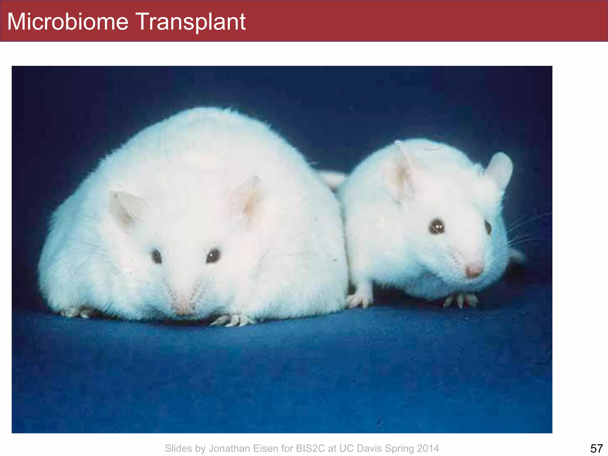 Slides by Jonathan Eisen for BIS2C at UC Davis Spring 2014
Microbiome Transplant
57
 