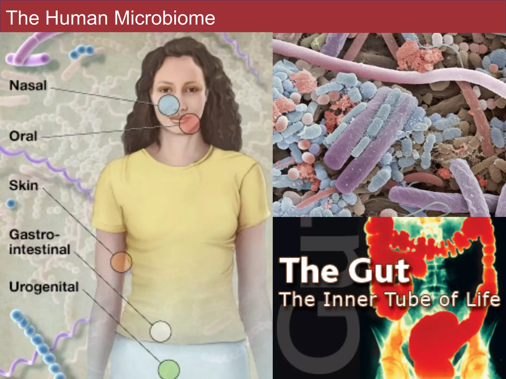 Slides by Jonathan Eisen for BIS2C at UC Davis Spring 2014
The Human Microbiome
7
 
