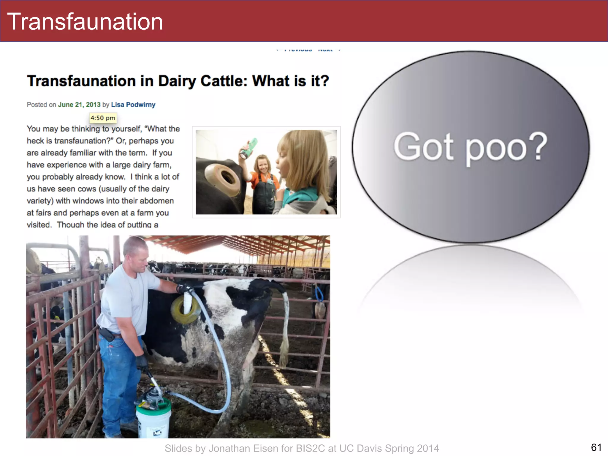 Slides by Jonathan Eisen for BIS2C at UC Davis Spring 2014
Transfaunation
61
 