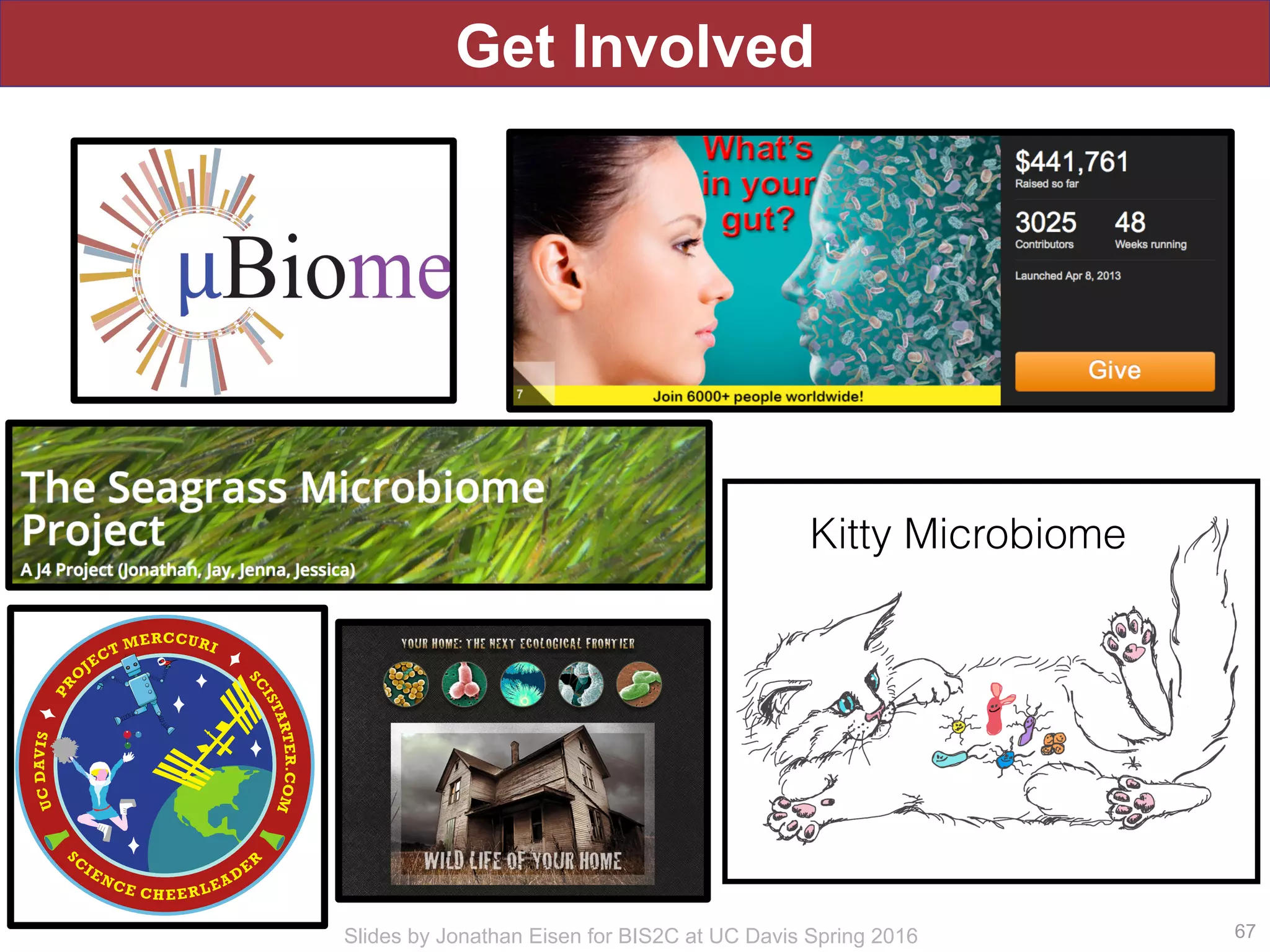Slides by Jonathan Eisen for BIS2C at UC Davis Spring 2016
Get Involved
67
Kitty Microbiome
 