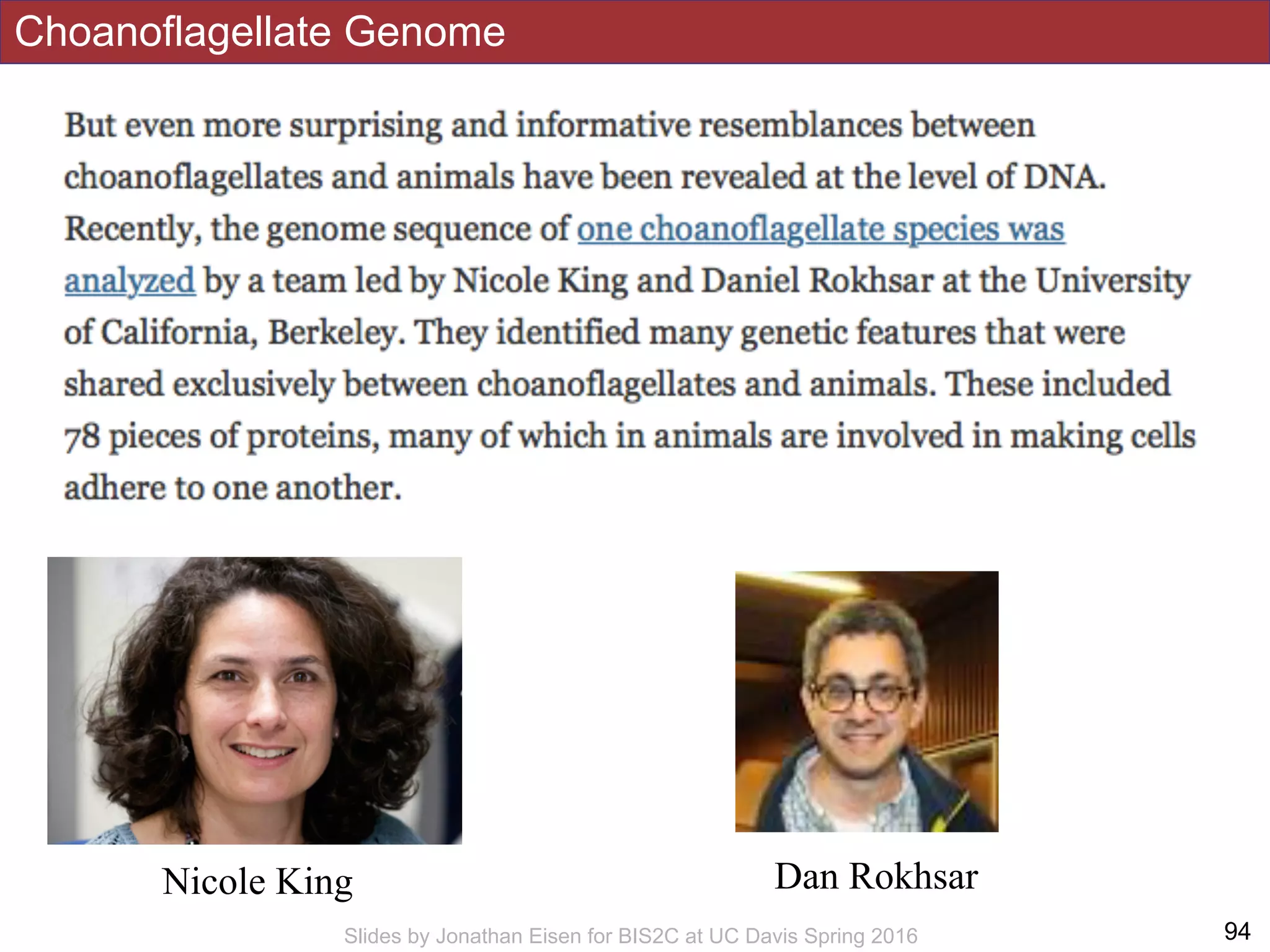 Choanoflagellate Genome
!94Slides by Jonathan Eisen for BIS2C at UC Davis Spring 2016
Nicole King Dan Rokhsar
 