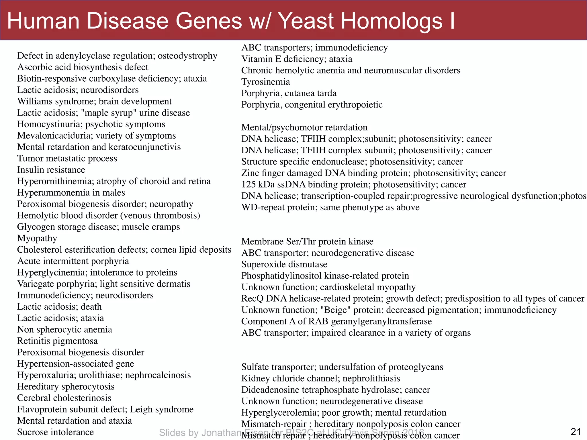 Slides by Jonathan Eisen for BIS2C at UC Davis Spring 2016
Human Disease Genes w/ Yeast Homologs I
21
Defect in adenylcyclase regulation; osteodystrophy
Ascorbic acid biosynthesis defect
Biotin-responsive carboxylase deﬁciency; ataxia
Lactic acidosis; neurodisorders
Williams syndrome; brain development
Lactic acidosis; "maple syrup" urine disease
Homocystinuria; psychotic symptoms
Mevalonicaciduria; variety of symptoms
Mental retardation and keratocunjunctivis
Tumor metastatic process
Insulin resistance
Hyperornithinemia; atrophy of choroid and retina
Hyperammonemia in males
Peroxisomal biogenesis disorder; neuropathy
Hemolytic blood disorder (venous thrombosis)
Glycogen storage disease; muscle cramps
Myopathy
Cholesterol esteriﬁcation defects; cornea lipid deposits
Acute intermittent porphyria
Hyperglycinemia; intolerance to proteins
Variegate porphyria; light sensitive dermatis
Immunodeﬁciency; neurodisorders
Lactic acidosis; death
Lactic acidosis; ataxia
Non spherocytic anemia
Retinitis pigmentosa
Peroxisomal biogenesis disorder
Hypertension-associated gene
Hyperoxaluria; urolithiase; nephrocalcinosis
Hereditary spherocytosis
Cerebral cholesterinosis
Flavoprotein subunit defect; Leigh syndrome
Mental retardation and ataxia
Sucrose intolerance
ABC transporters; immunodeﬁciency
Vitamin E deﬁciency; ataxia
Chronic hemolytic anemia and neuromuscular disorders
Tyrosinemia
Porphyria, cutanea tarda
Porphyria, congenital erythropoietic
Mental/psychomotor retardation
DNA helicase; TFIIH complex;subunit; photosensitivity; cancer
DNA helicase; TFIIH complex subunit; photosensitivity; cancer
Structure speciﬁc endonuclease; photosensitivity; cancer
Zinc ﬁnger damaged DNA binding protein; photosensitivity; cancer
125 kDa ssDNA binding protein; photosensitivity; cancer
DNA helicase; transcription-coupled repair;progressive neurological dysfunction;photose
WD-repeat protein; same phenotype as above
Membrane Ser/Thr protein kinase
ABC transporter; neurodegenerative disease
Superoxide dismutase
Phosphatidylinositol kinase-related protein
Unknown function; cardioskeletal myopathy
RecQ DNA helicase-related protein; growth defect; predisposition to all types of cancer
Unknown function; "Beige" protein; decreased pigmentation; immunodeﬁciency
Component A of RAB geranylgeranyltransferase
ABC transporter; impaired clearance in a variety of organs
Sulfate transporter; undersulfation of proteoglycans
Kidney chloride channel; nephrolithiasis
Dideadenosine tetraphosphate hydrolase; cancer
Unknown function; neurodegenerative disease
Hyperglycerolemia; poor growth; mental retardation
Mismatch-repair ; hereditary nonpolyposis colon cancer
Mismatch repair ; hereditary nonpolyposis colon cancer
 