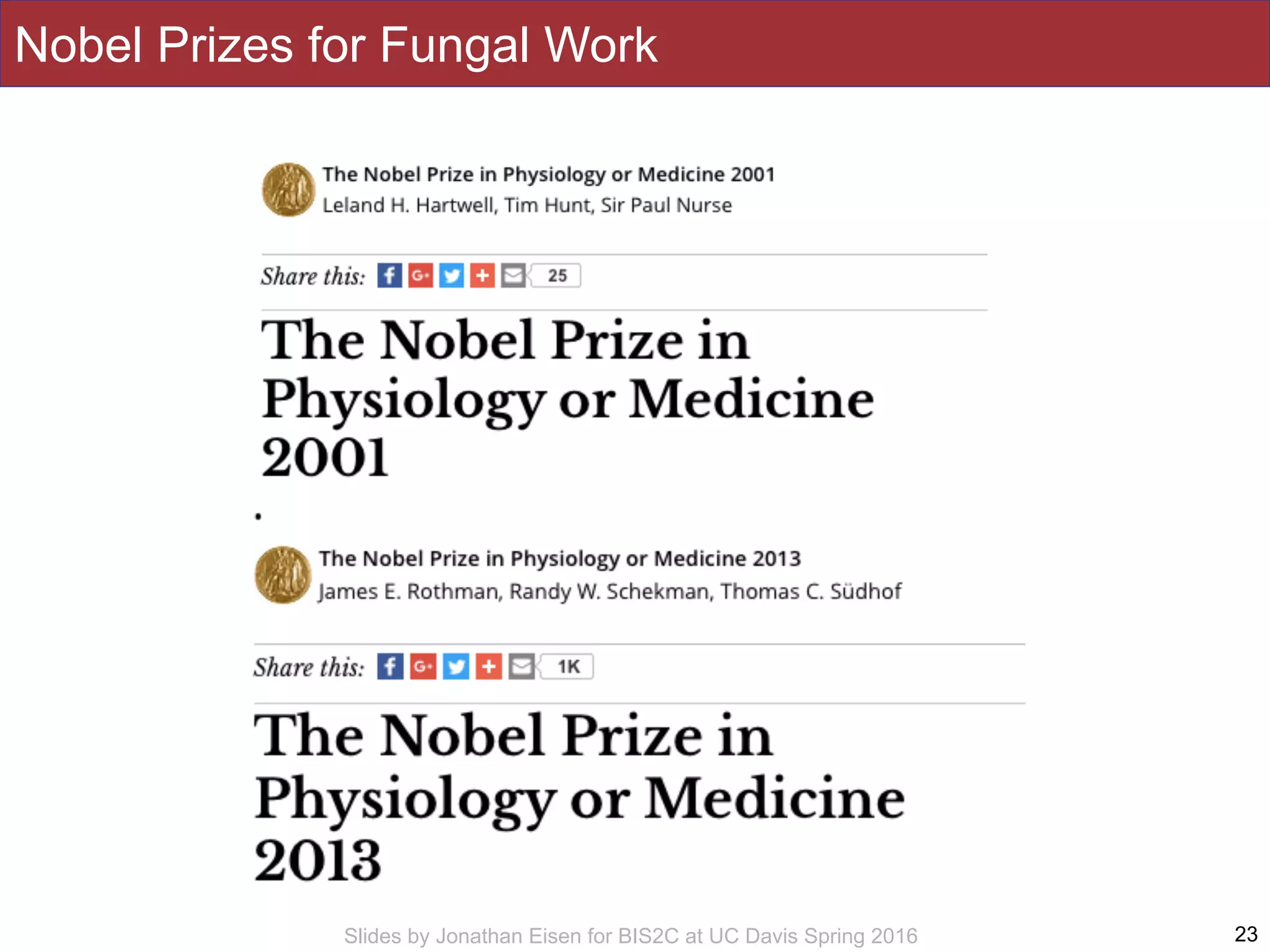 Slides by Jonathan Eisen for BIS2C at UC Davis Spring 2016 23
Nobel Prizes for Fungal Work
 