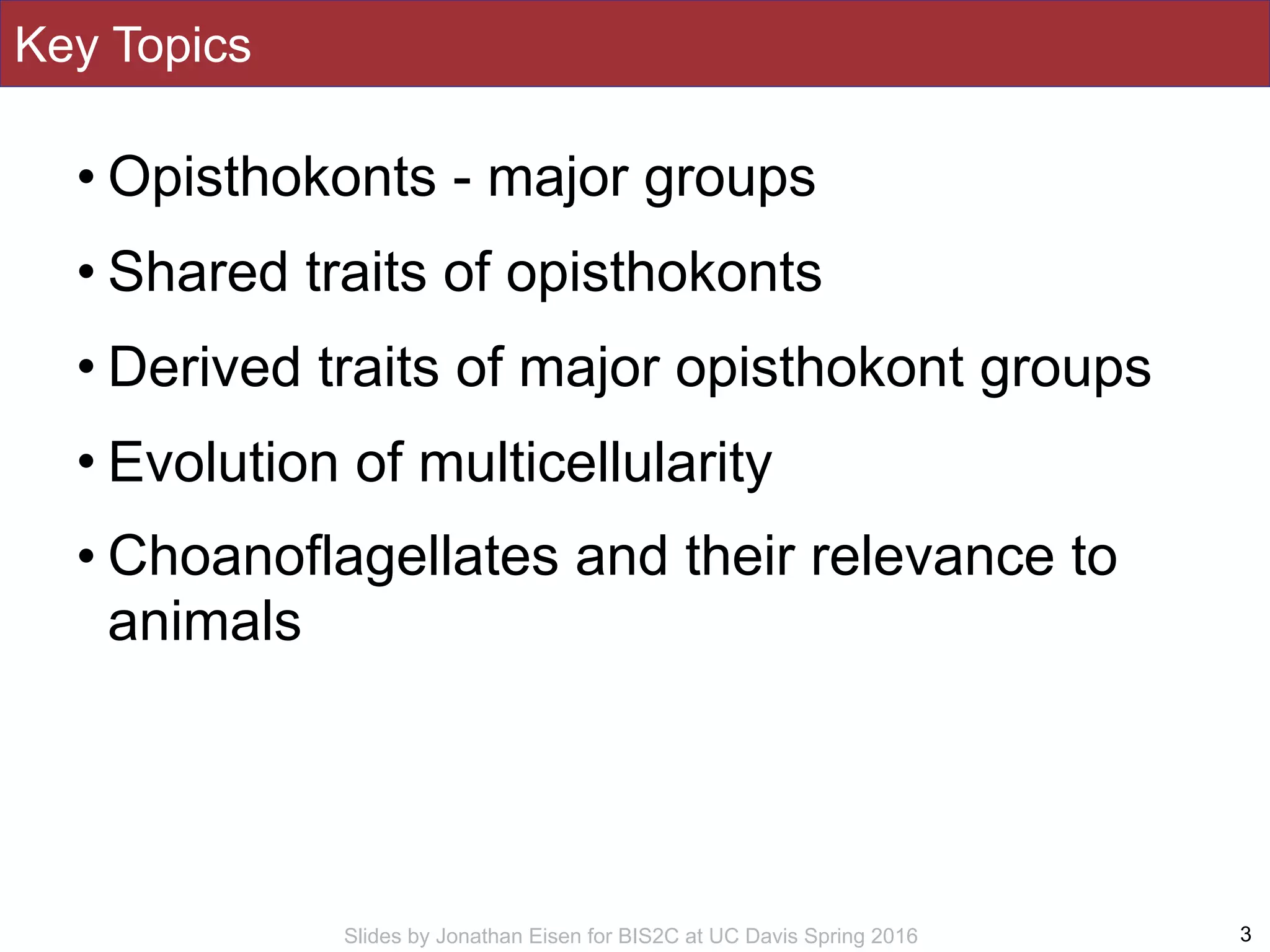 Slides by Jonathan Eisen for BIS2C at UC Davis Spring 2016
Key Topics
• Opisthokonts - major groups
• Shared traits of opisthokonts
• Derived traits of major opisthokont groups
• Evolution of multicellularity
• Choanoflagellates and their relevance to
animals
3
 