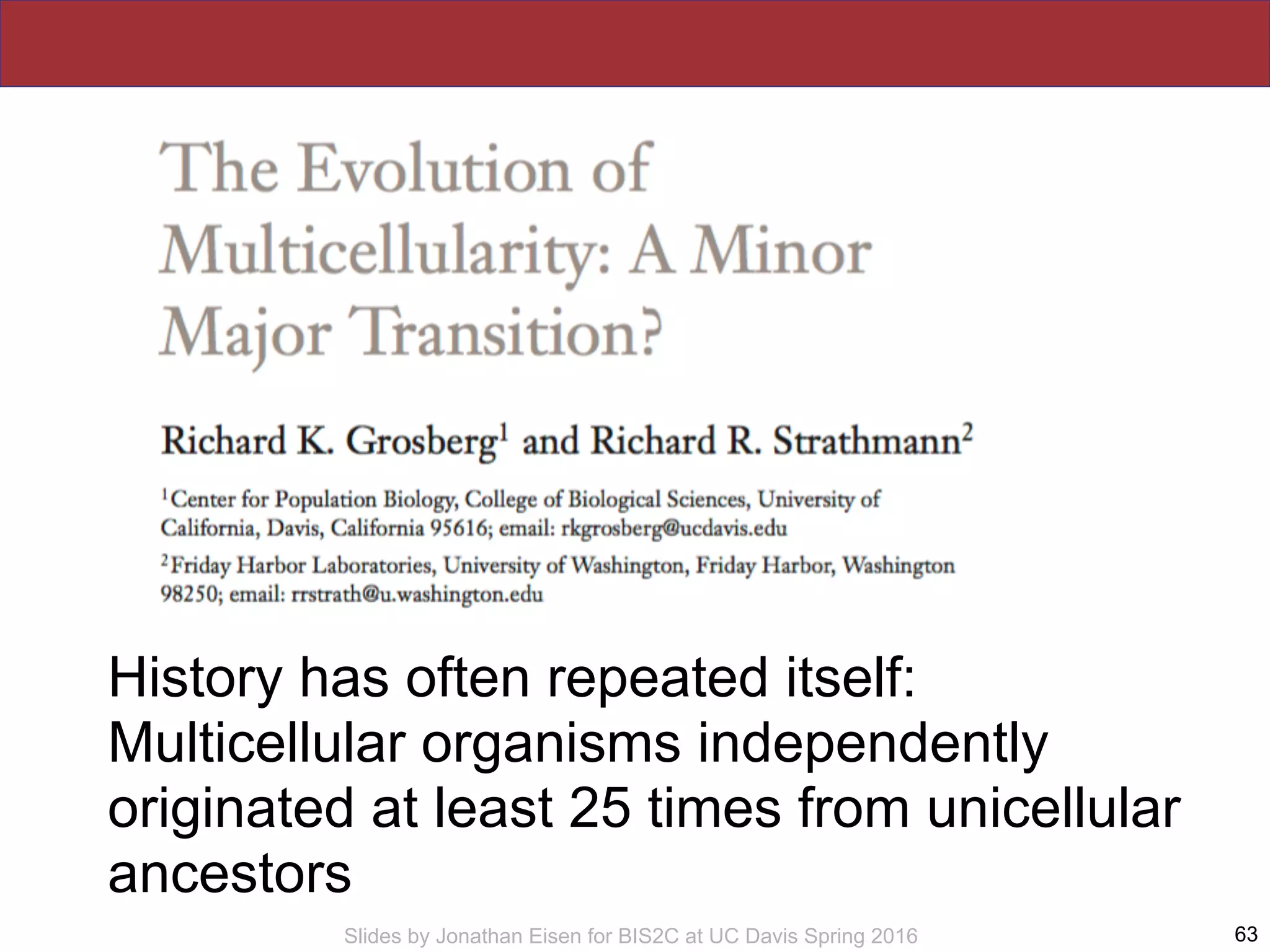 Slides by Jonathan Eisen for BIS2C at UC Davis Spring 2016
History has often repeated itself:
Multicellular organisms independently
originated at least 25 times from unicellular
ancestors
63
 