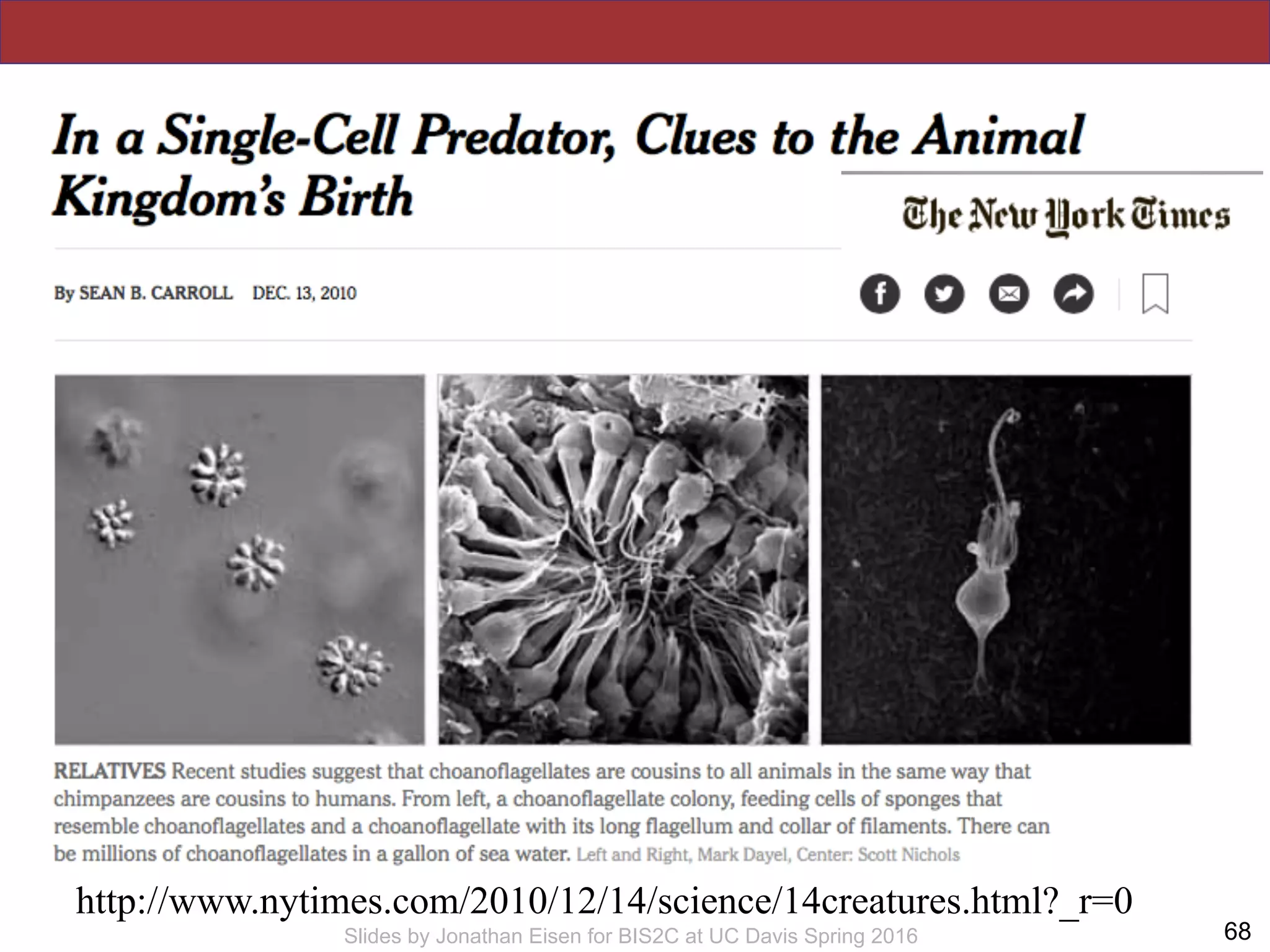 !68Slides by Jonathan Eisen for BIS2C at UC Davis Spring 2016
http://www.nytimes.com/2010/12/14/science/14creatures.html?_r=0
 