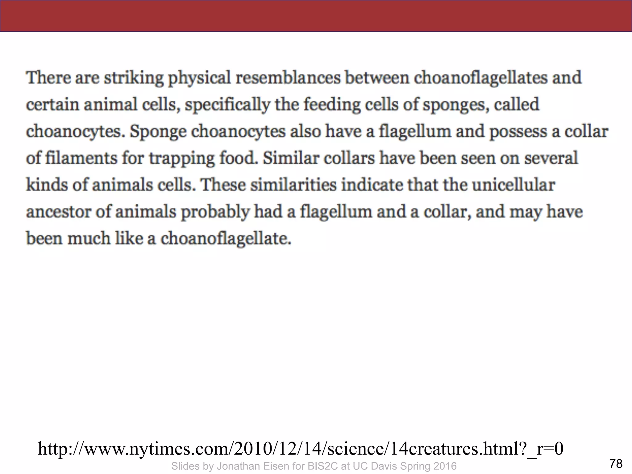 !78Slides by Jonathan Eisen for BIS2C at UC Davis Spring 2016
http://www.nytimes.com/2010/12/14/science/14creatures.html?_r=0
 