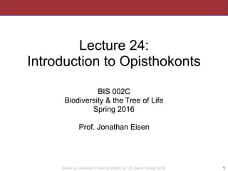 Slides by Jonathan Eisen for BIS2C at UC Davis Spring 2016
Lecture 24:
Introduction to Opisthokonts
BIS 002C
Biodiversity & the Tree of Life
Spring 2016
Prof. Jonathan Eisen
1
 