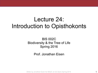 Slides by Jonathan Eisen for BIS2C at UC Davis Spring 2016
Lecture 24:
Introduction to Opisthokonts
BIS 002C
Biodiversity ...