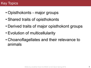 Slides by Jonathan Eisen for BIS2C at UC Davis Spring 2016
Key Topics
• Opisthokonts - major groups
• Shared traits of opi...