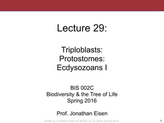 Slides by Jonathan Eisen for BIS2C at UC Davis Spring 2016
Lecture 29:
Triploblasts:
Protostomes:
Ecdysozoans I
BIS 002C
Biodiversity & the Tree of Life
Spring 2016
Prof. Jonathan Eisen
1
 