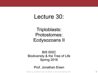 Slides by Jonathan Eisen for BIS2C at UC Davis Spring 2016
Lecture 30:
Triploblasts:
Protostomes:
Ecdysozoans II
BIS 002C
Biodiversity & the Tree of Life
Spring 2016
Prof. Jonathan Eisen
1
 