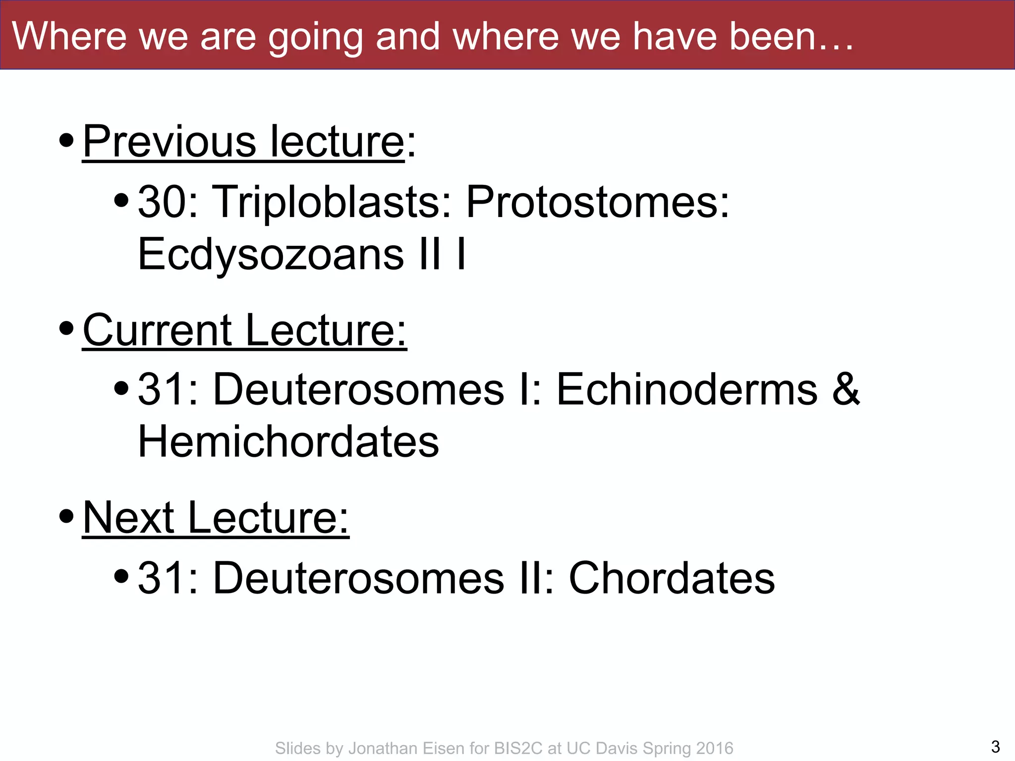 Slides by Jonathan Eisen for BIS2C at UC Davis Spring 2016
Where we are going and where we have been…
3
•Previous lecture:
•30: Triploblasts: Protostomes:
Ecdysozoans II I
•Current Lecture:
•31: Deuterosomes I: Echinoderms &
Hemichordates
•Next Lecture:
•31: Deuterosomes II: Chordates
 