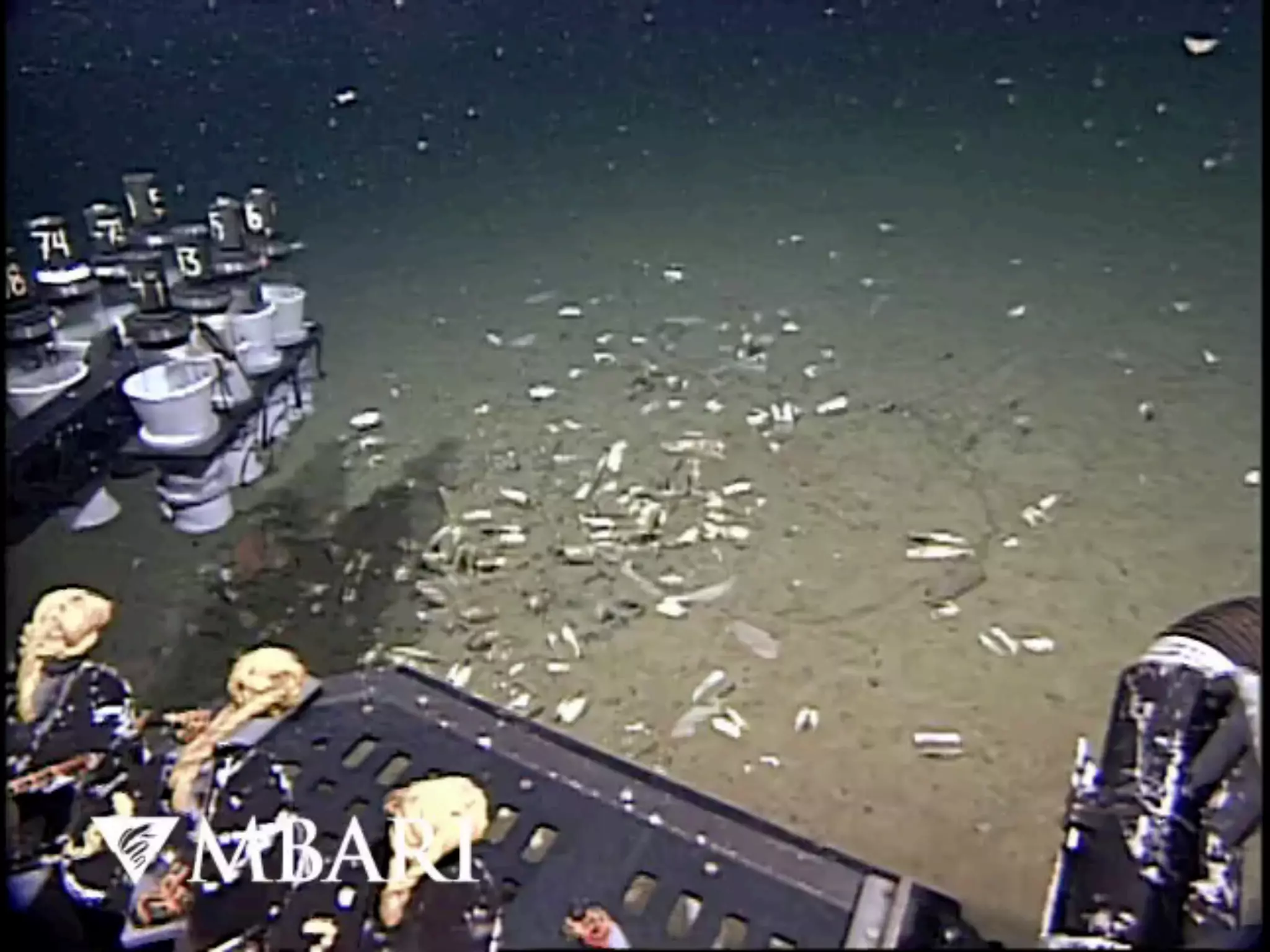 Slides by Jonathan Eisen for BIS2C at UC Davis Spring 2016
• VIDEOS
22
 