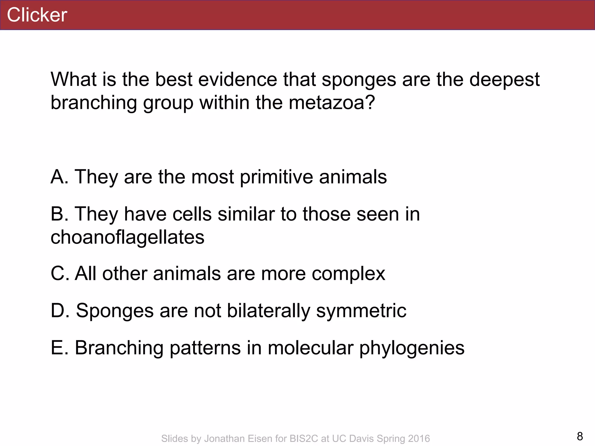 Clicker
What is the best evidence that sponges are the deepest
branching group within the metazoa?
A. They are the most primitive animals
B. They have cells similar to those seen in
choanoflagellates
C. All other animals are more complex
D. Sponges are not bilaterally symmetric
E. Branching patterns in molecular phylogenies
!8Slides by Jonathan Eisen for BIS2C at UC Davis Spring 2016
 