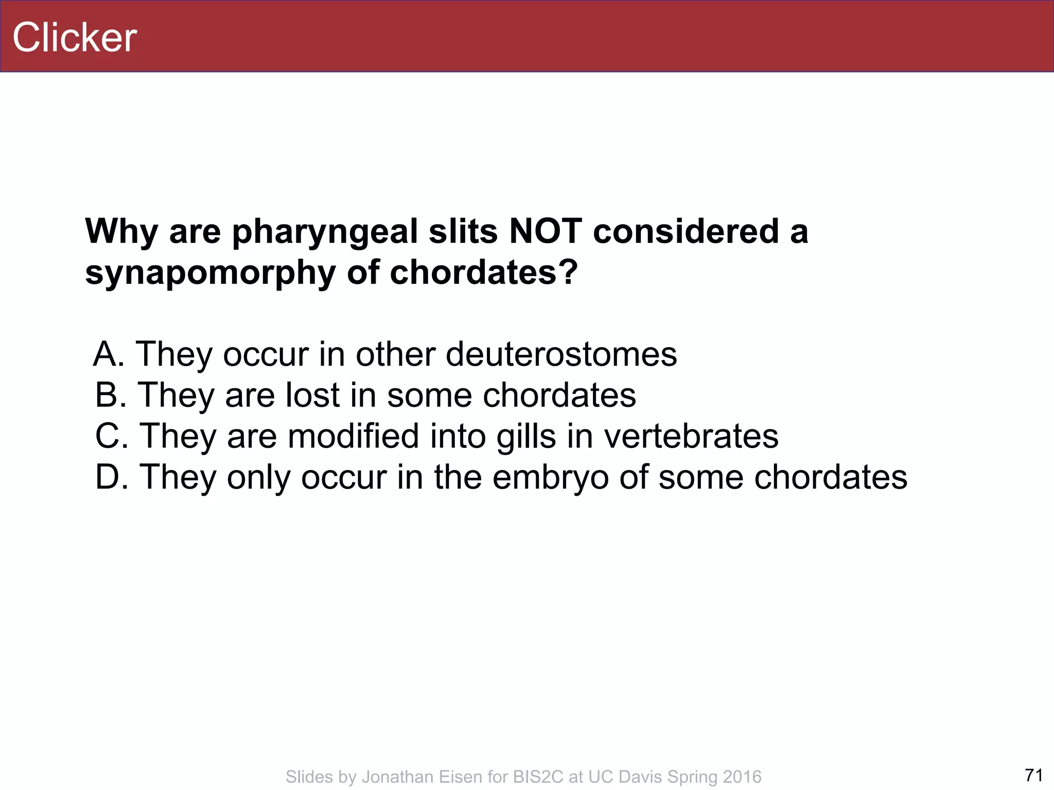 Slides by Jonathan Eisen for BIS2C at UC Davis Spring 2016
Clicker
71
Why are pharyngeal slits NOT considered a
synapomorphy of chordates?
A. They occur in other deuterostomes
B. They are lost in some chordates
C. They are modified into gills in vertebrates
D. They only occur in the embryo of some chordates
 