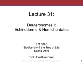 Slides by Jonathan Eisen for BIS2C at UC Davis Spring 2016
Lecture 31:
Deuterosomes I:
Echinoderms & Hemichordates
BIS 002C
Biodiversity & the Tree of Life
Spring 2016
Prof. Jonathan Eisen
1
 