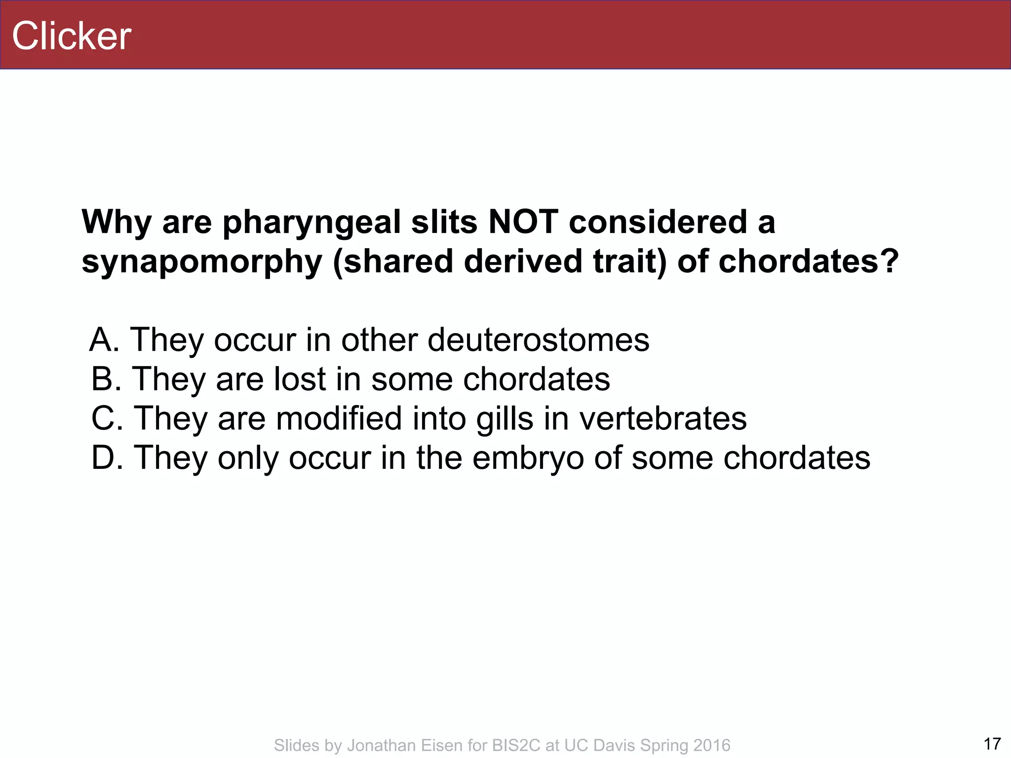 Slides by Jonathan Eisen for BIS2C at UC Davis Spring 2016
Clicker
17
Why are pharyngeal slits NOT considered a
synapomorphy (shared derived trait) of chordates?
A. They occur in other deuterostomes
B. They are lost in some chordates
C. They are modified into gills in vertebrates
D. They only occur in the embryo of some chordates
 
