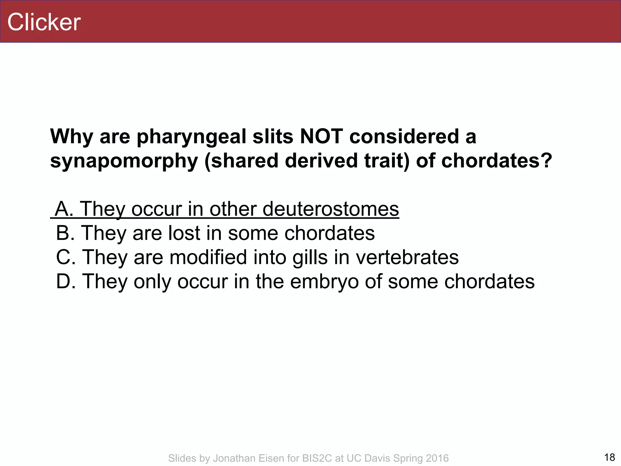Slides by Jonathan Eisen for BIS2C at UC Davis Spring 2016
Clicker
18
Why are pharyngeal slits NOT considered a
synapomorphy (shared derived trait) of chordates?
A. They occur in other deuterostomes
B. They are lost in some chordates
C. They are modified into gills in vertebrates
D. They only occur in the embryo of some chordates
 