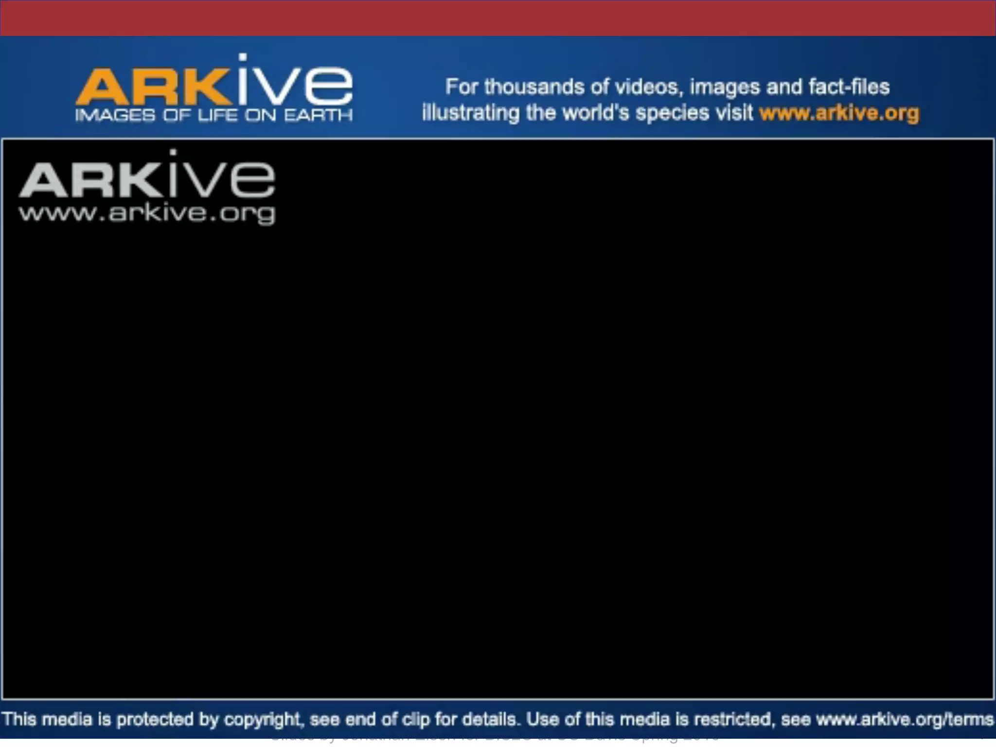 Slides by Jonathan Eisen for BIS2C at UC Davis Spring 2016 73
 