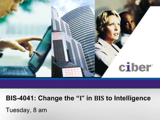 Change the &quot;I&quot; in BIS to Intelligence