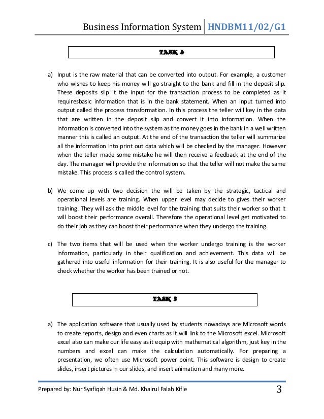 Information system assignment 1 image
