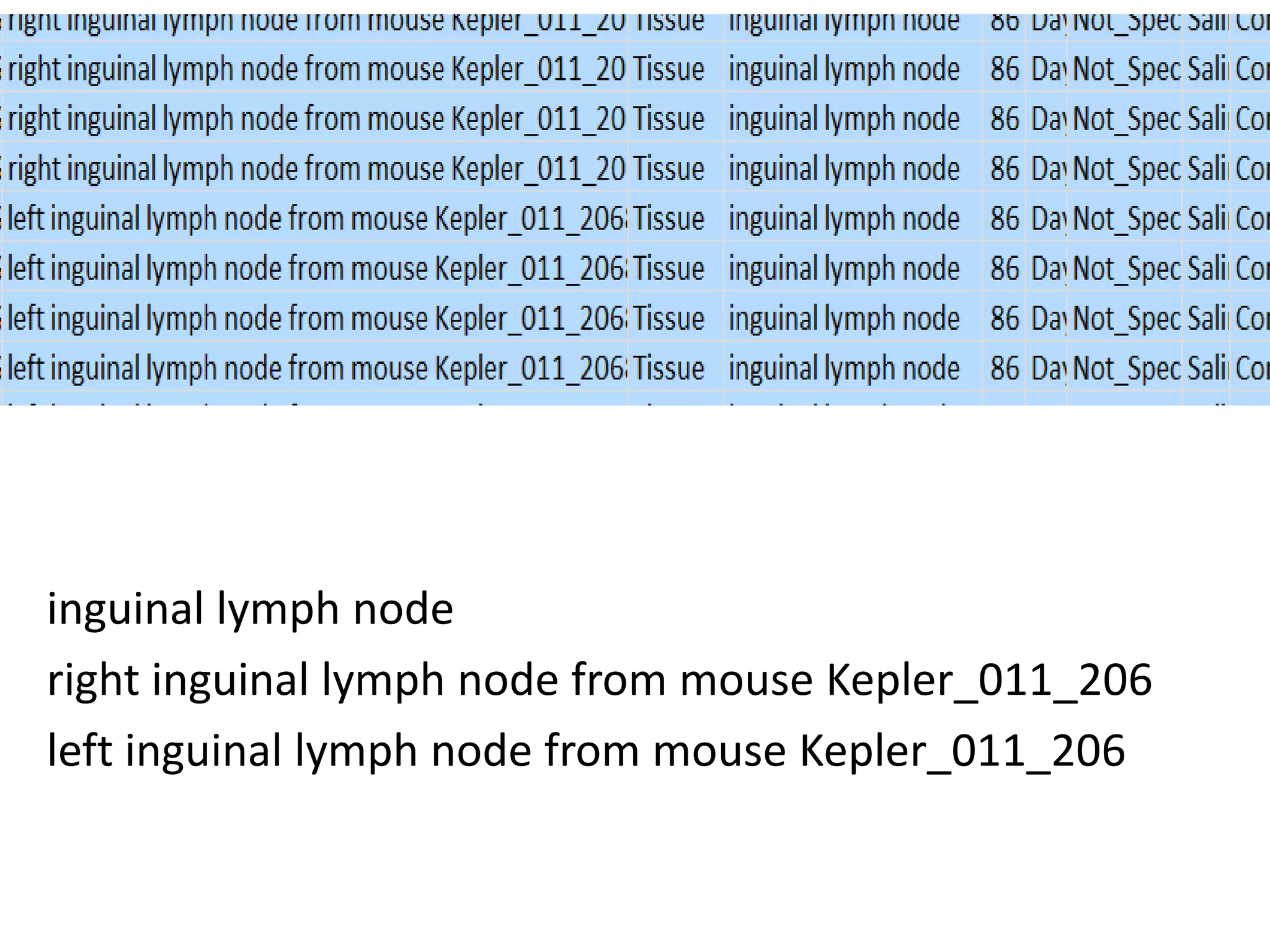 Hypothesis

inguinal lymph node
right inguinal lymph node from mouse Kepler_011_206
left inguinal lymph node from mouse Kepler_011_206

 