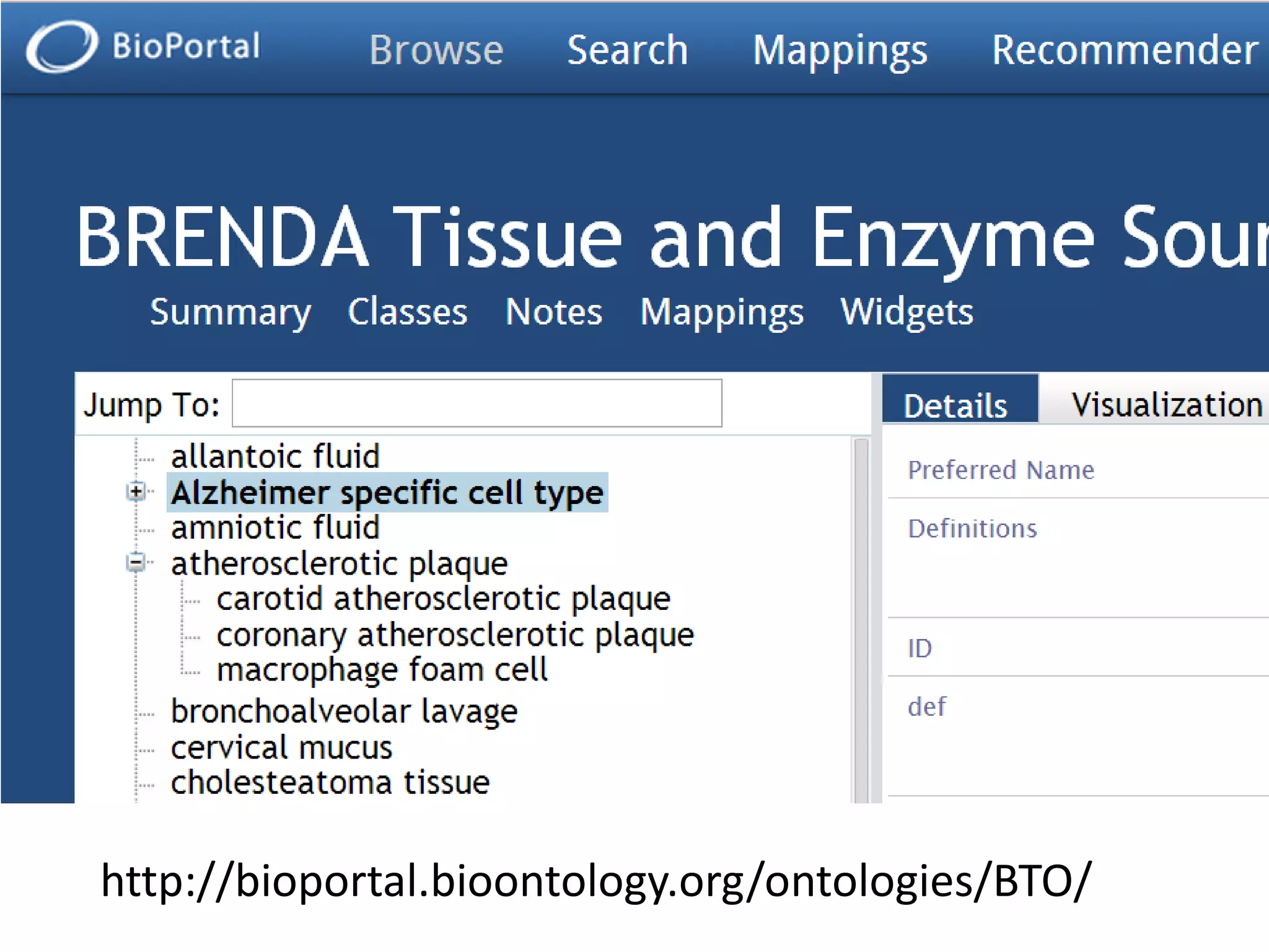 http://bioportal.bioontology.org/ontologies/BTO/

 