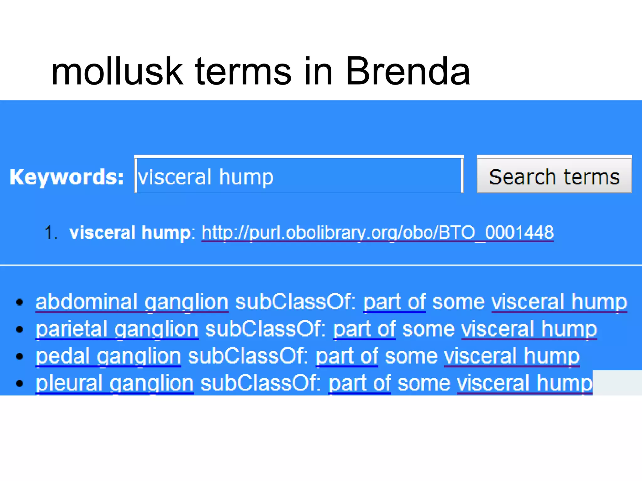 mollusk terms in Brenda

 