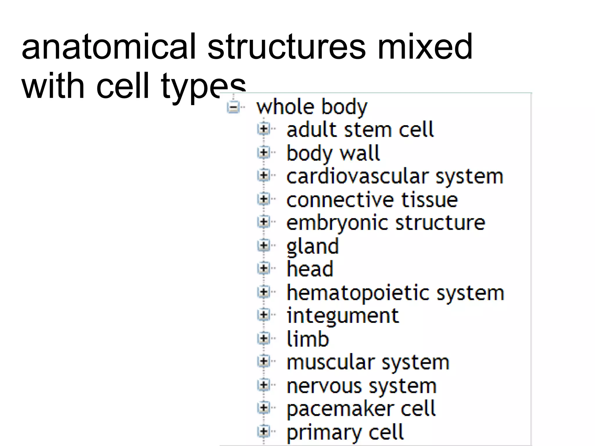 anatomical structures mixed
with cell types

 
