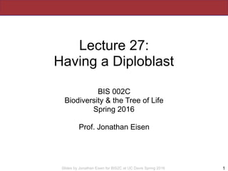 Slides by Jonathan Eisen for BIS2C at UC Davis Spring 2016
Lecture 27:
Having a Diploblast
BIS 002C
Biodiversity & the Tre...