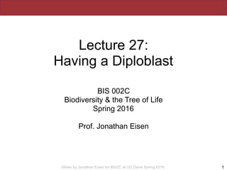 Slides by Jonathan Eisen for BIS2C at UC Davis Spring 2016
Lecture 27:
Having a Diploblast
BIS 002C
Biodiversity & the Tree of Life
Spring 2016
Prof. Jonathan Eisen
1
 