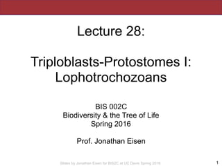 Slides by Jonathan Eisen for BIS2C at UC Davis Spring 2016
Lecture 28:
Triploblasts-Protostomes I:
Lophotrochozoans
BIS 00...