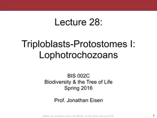 Slides by Jonathan Eisen for BIS2C at UC Davis Spring 2016
Lecture 28:
Triploblasts-Protostomes I:
Lophotrochozoans
BIS 002C
Biodiversity & the Tree of Life
Spring 2016
Prof. Jonathan Eisen
!1
 