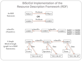  BiSciCol Implementation of the  Resource Description Framework (RDF) An RDF  Statement: Subject Object Predicate relatedTo  (Transitive): relatedTo GUID1 GUID2 GUID3 relatedTo GUID1 <-> GUID2 GUID2 <-> GUID3 GUID1 <-> GUID3 OR Predicate GUID1 GUID2 A Simple  BiSciCol Graph  (graph=set of RDF  Statements): relatedTo a a Date Date GUID1 GUID2 GUID3 relatedTo Event “ 2011-06-20” “ 2011-05-01” Tissue “ 2011-06-01” Specimen a Date 