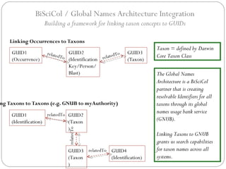 BiSciCol / Global Names Architecture Integration Building a framework for linking taxon concepts to GUIDs Linking Occurrences to Taxons GUID3 (Taxon) GUID2 (Identification Key/Person/ Blast) GUID1 (Occurrence) relatedTo relatedTo The Global Names Architecture is a BiSciCol partner that is creating resolvable Identifiers for all taxons through its global names usage bank service (GNUB). Linking Taxons to GNUB grants us search capabilities for taxon names across all systems. Taxon = defined by Darwin Core Taxon Class GUID3 (Taxon) Linking Taxons to Taxons (e.g. GNUB to myAuthority) relatedTo GUID1 (Identification) GUID2 (Taxon) relatedTo GUID4 (Identification) relatedTo 