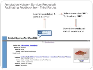 Annotation Network Service (Proposed)  Facilitating Feedback from Third Parties Generate annotation & Store in a service Relate AnnotationGUID To Specimen GUID Now discoverable and  Linked into BiSciCol 