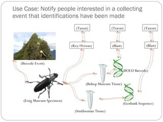 Use Case: Notify people interested in a collecting event that identifications have been made (Biocode Event) (Essig Museum Specimen) (Smithsonian Tissue) (Bishop Museum Tissue) (Genbank Sequence) (BOLD Barcode) (Key/Person) (Blast) (Taxon) (Taxon) (Blast) (Taxon) 