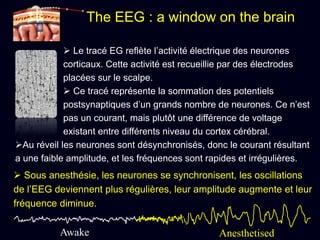  Le tracé EG reflète l’activité électrique des neurones
corticaux. Cette activité est recueillie par des électrodes
placées sur le scalpe.
 Ce tracé représente la sommation des potentiels
postsynaptiques d’un grands nombre de neurones. Ce n’est
pas un courant, mais plutôt une différence de voltage
existant entre différents niveau du cortex cérébral.
Au réveil les neurones sont désynchronisés, donc le courant résultant
a une faible amplitude, et les fréquences sont rapides et irrégulières.
The EEG : a window on the brain
Awake
 Sous anesthésie, les neurones se synchronisent, les oscillations
de l’EEG deviennent plus régulières, leur amplitude augmente et leur
fréquence diminue.
Anesthetised
 