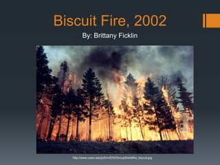 Biscuit Fire, 2002
By: Brittany Ficklin
http://www.uwec.edu/jolhm/EH3/Group9/wildfire_biscuit.jpg
 