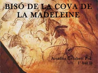 Ariadna Gelabert Pol
1r
bat D
BISÓ DE LA COVA DE
LA MADELEINE
 