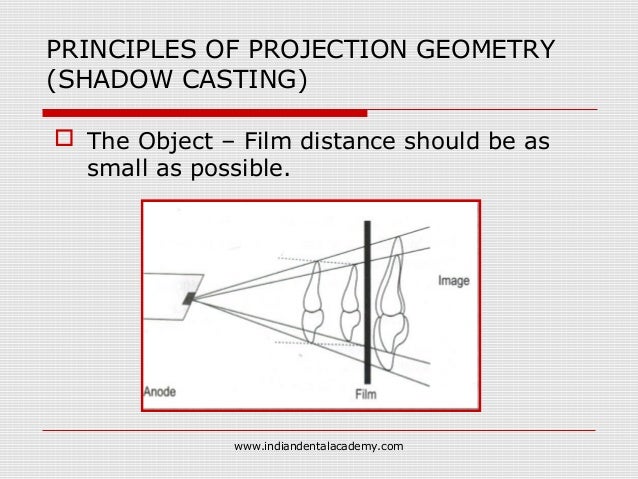 Bisecting angle vs paralleling technique /orthodontic courses by Indi…