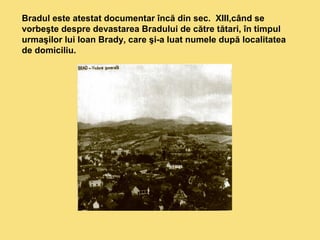 Bradul este atestat documentar încă din sec. XIII,când se 
vorbeşte despre devastarea Bradului de către tătari, în timpul 
urmaşilor lui Ioan Brady, care şi-a luat numele după localitatea 
de domiciliu. 
 