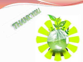 Bishnoi movement ppt