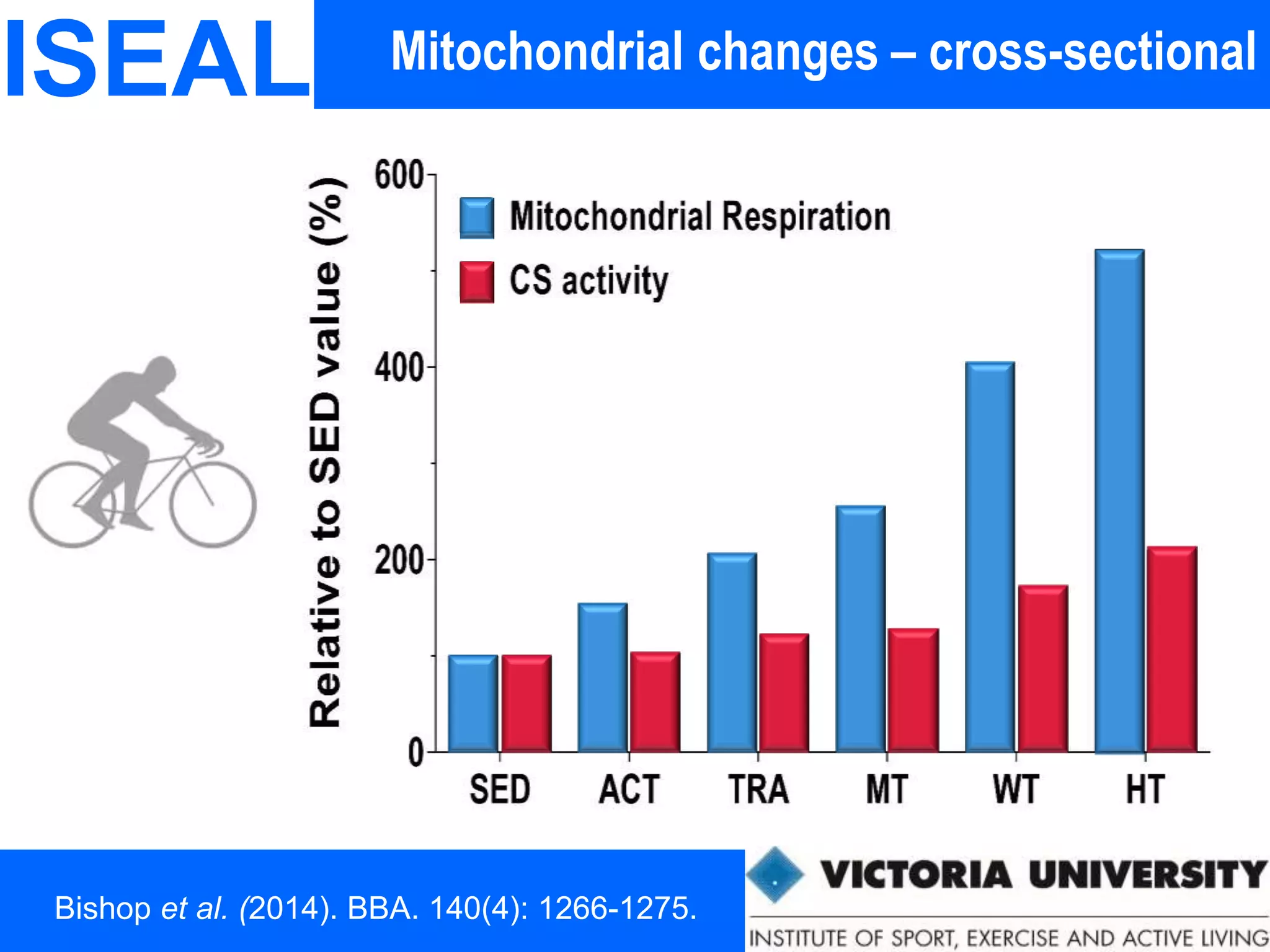 Mitochondrial changes – cross-sectionalISEAL
Bishop et al. (2014). BBA. 140(4): 1266-1275.
 