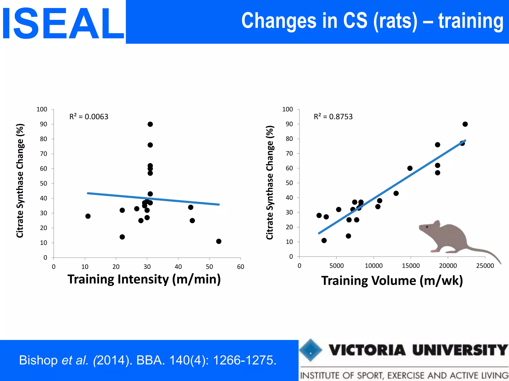 Changes in CS (rats) – trainingISEAL
R² = 0.0063
0
10
20
30
40
50
60
70
80
90
100
0 10 20 30 40 50 60
CitrateSynthaseChange(%)
Training Intensity (m/min)
R² = 0.8753
0
10
20
30
40
50
60
70
80
90
100
0 5000 10000 15000 20000 25000
CitrateSynthaseChange(%)
Training Volume (m/wk)
Bishop et al. (2014). BBA. 140(4): 1266-1275.
 